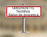 Diagnostic Termite AC Environnement à Salon de Provence